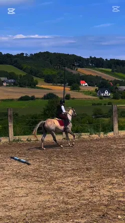 Some canter/galopik🌷