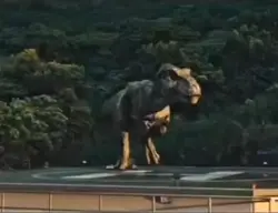 Rawwww
