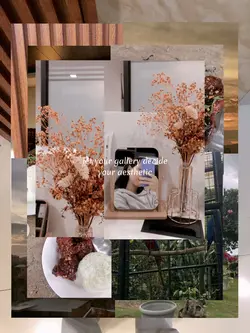 Aesthetic 