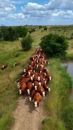 FARM LIFE