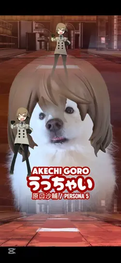 UTCHEI GORO AKECHI