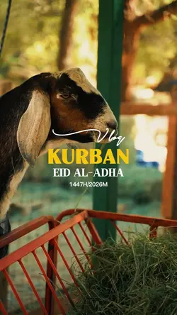Vlog Kurban