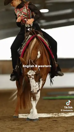 English & western