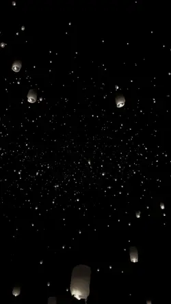 the night we met