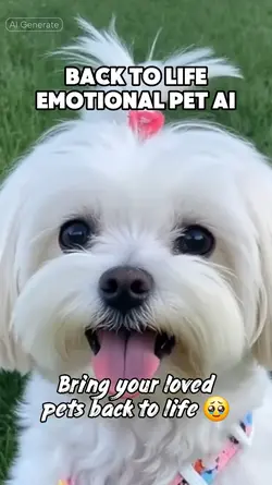 Back to Life Pet