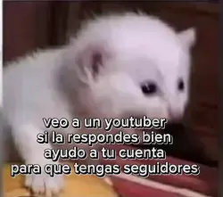 quién es?