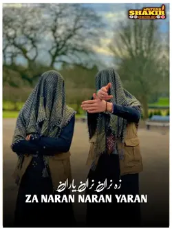 pashto attuned 