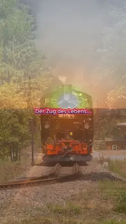 Zug des Lebens 