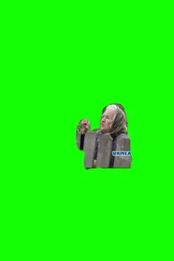 Televizorul