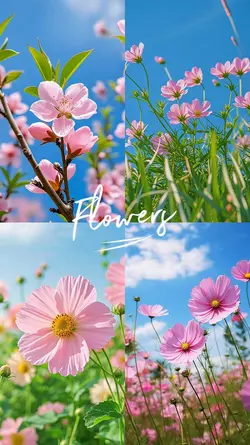 FLOWERS