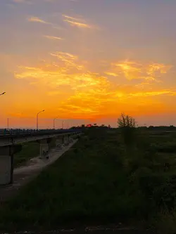 filter senja