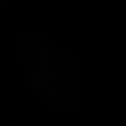 Phonk?