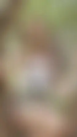 New image