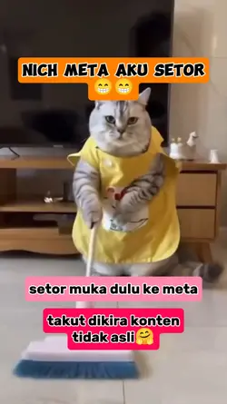 setor muka