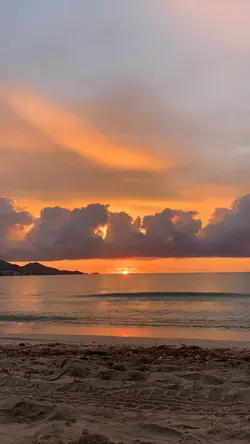 Mẫu 12 ảnh 