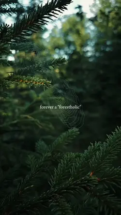 Forestholic