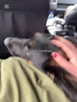 Therapy.