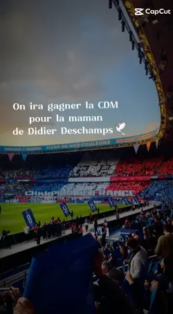 Aller la France! 