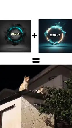 New template 