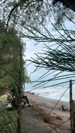 Video Cepat