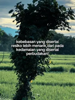 QUOTES STORY