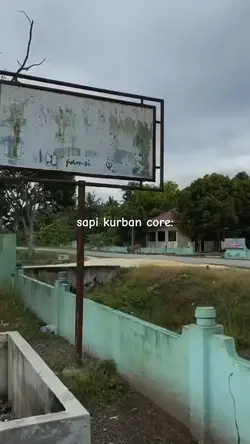 sapi core
