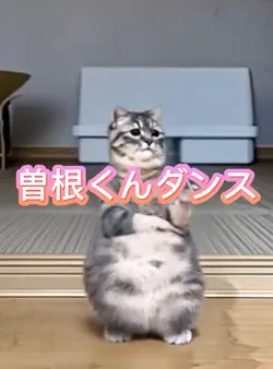 曽根くんダンス