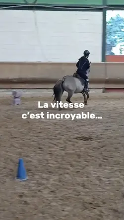 La vitesse…