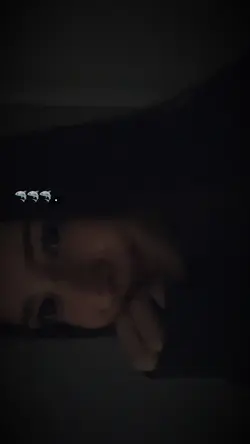 🦈 