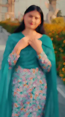 Punjabi Reels 