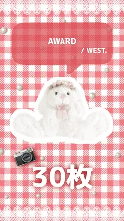 📷30枚´-