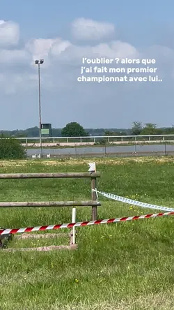 champion 