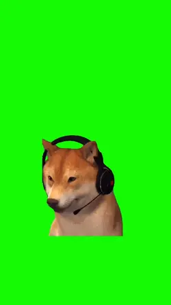 DOG DANCING MEME