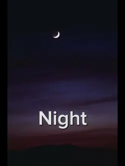 Day or Night 