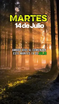 MARTES 14 DE JULIO