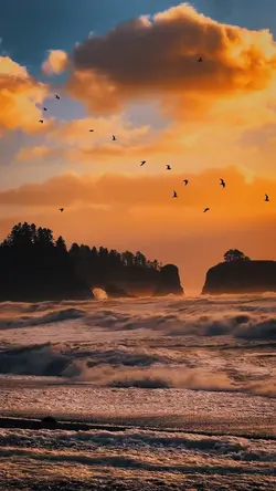 cinematic summer