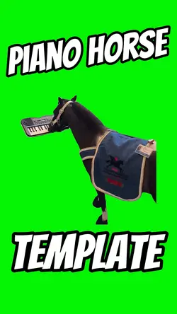 Piano Horse 