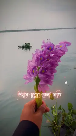 নদীর পারে 