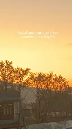 the night we met