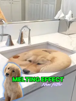 Melting Effect AI