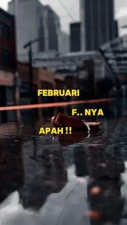 status harian