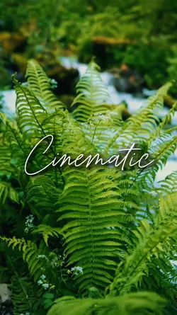 cinematic 5 clips