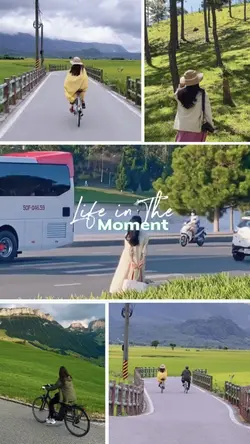 Life in the moment