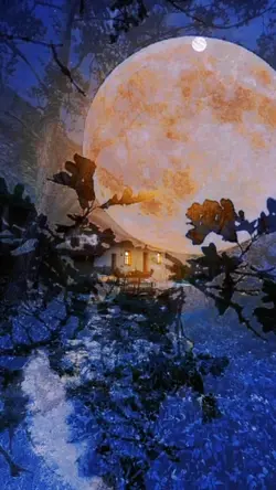selamat malam