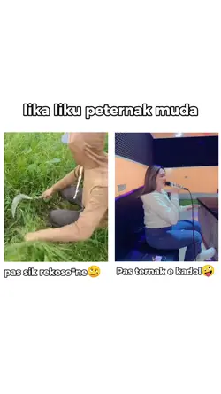 lika liku peternak 