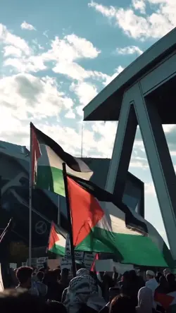 Demi falestini❤️🇵🇸