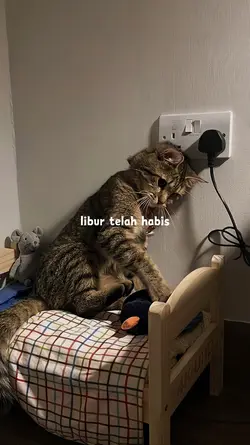 Libur telah habis