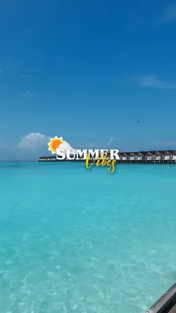Summer Vibes 