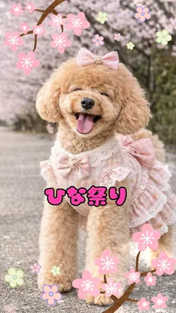 ひな祭りオルゴール曲🎎