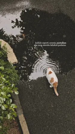 Jadilah seperti cerm